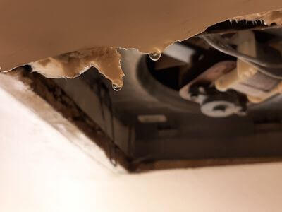 Professional water damage restoration services in Merced - Sheltrix